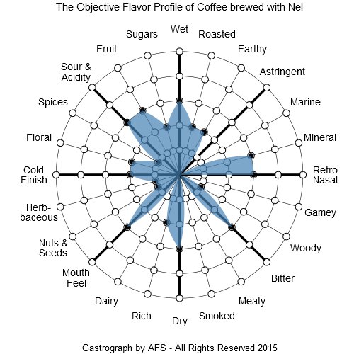 The Objective Flavor Profile of Nel Coffee
